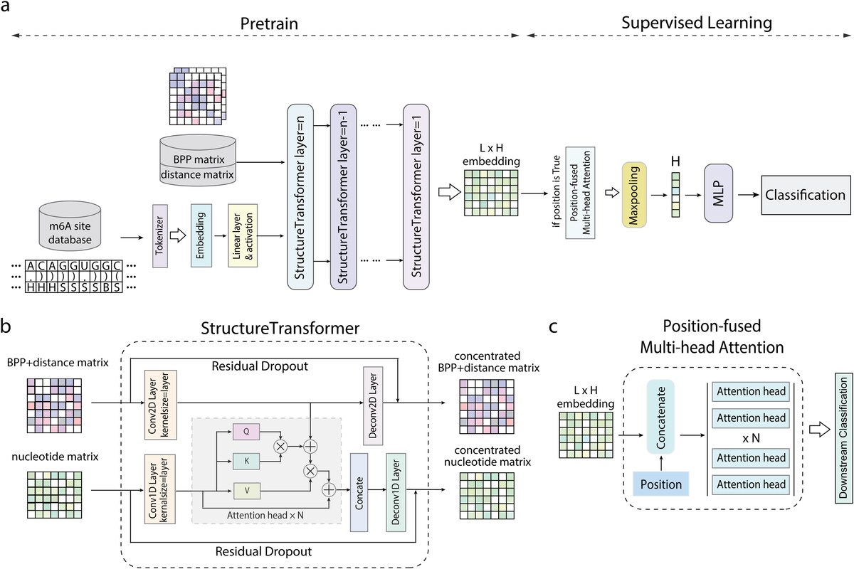 Sun et al., PLOS Computational Biology 2026, Fig. 1 (CC BY 4.0)